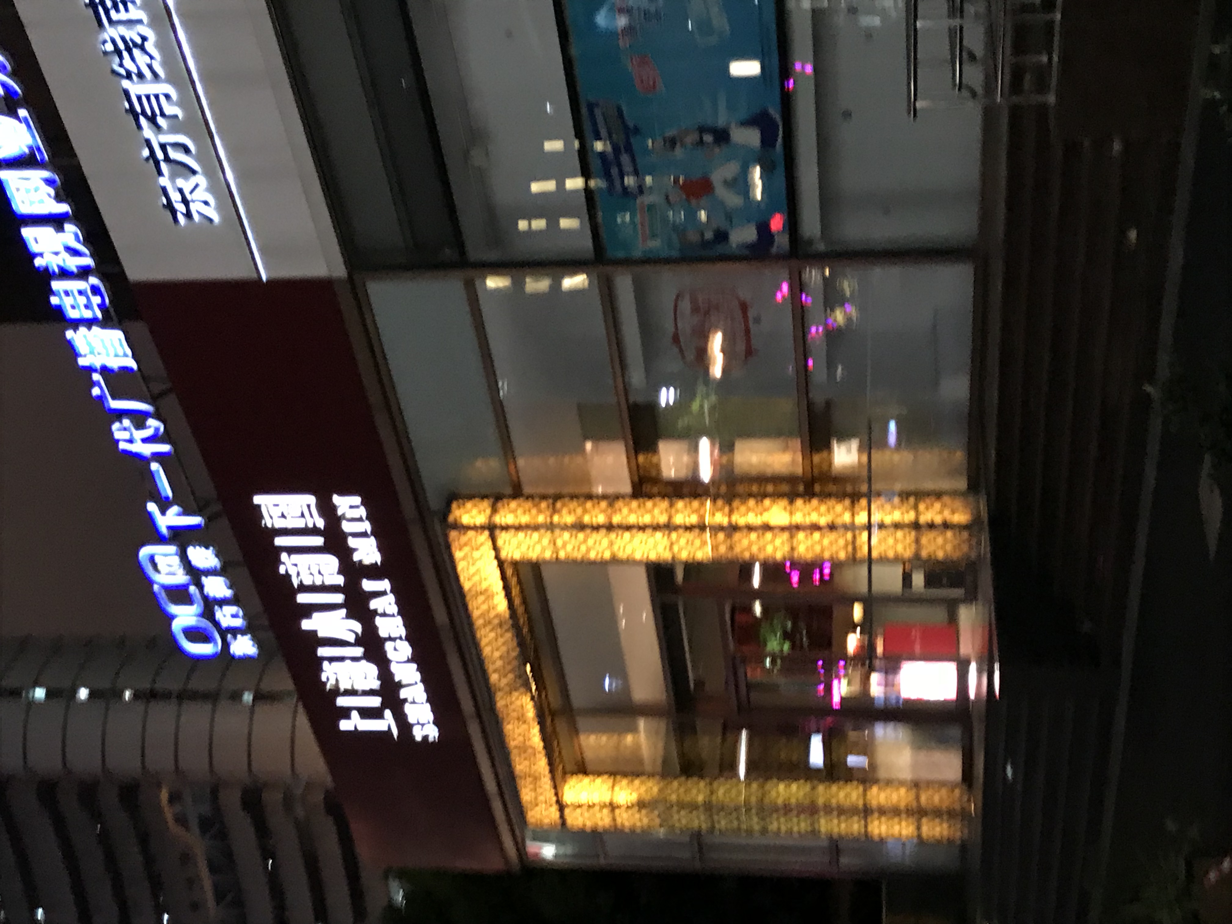 ./2018/03 - Viking China/22 - Shanghai Day 1/IMG_9939.JPG